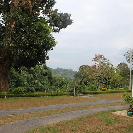 Villa Nilmalee Gampola Exteriér fotografie